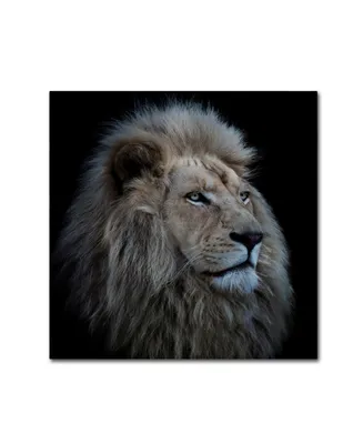 Louise Wolbers 'Proud Lion' Canvas Art