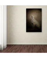 Jai Johnson 'The Elegant Cheetah' Canvas Art - 32" x 22" x 2"