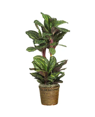 Nearly Natural 45" Maranta Silk Plant