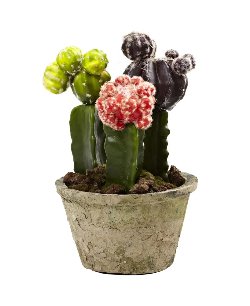 Nearly Natural Colorful Cactus Gardens, Set of 2