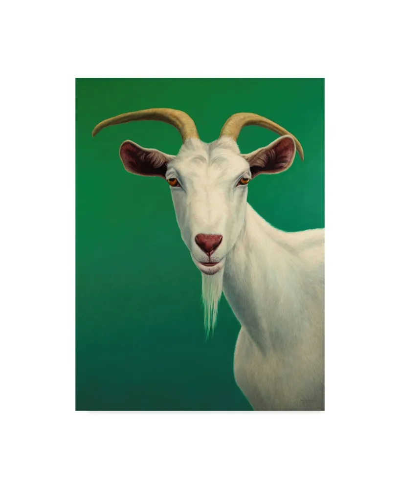 James W. Johnson 'Portrait Of A Goat' Canvas Art - 18" x 24"