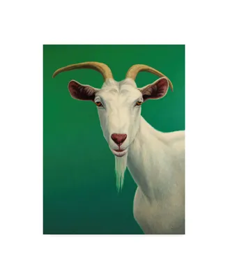 James W. Johnson 'Portrait Of A Goat' Canvas Art