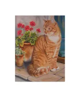 Janet Pidoux 'Ginger Cat On Doorstep' Canvas Art - 24" x 32"