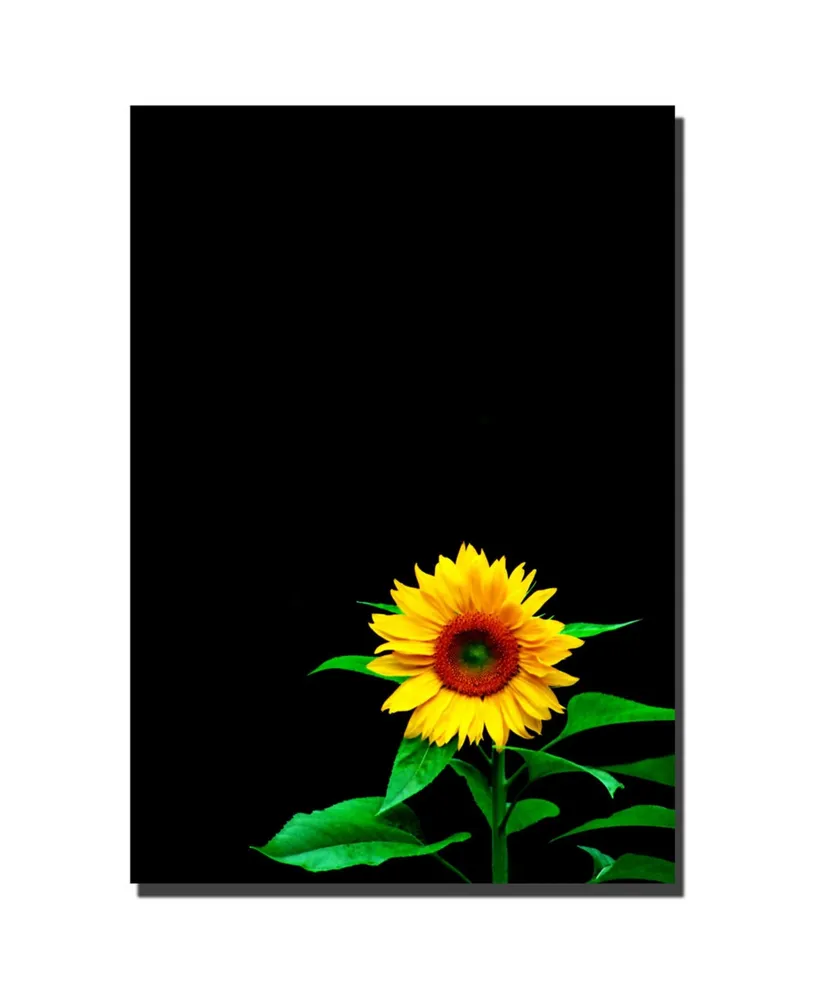 Kurt Shaffer 'Sunflower' Canvas Art - 19" x 14"