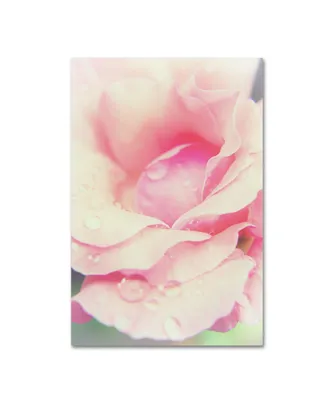 Pipa Fine Art 'Softened Rose' Canvas Art - 30" x 47"