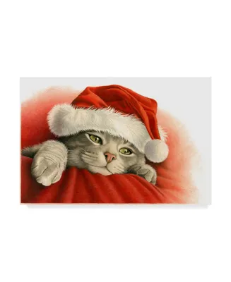 Francien Van Westering 'Gray Cat With Santa Hat' Canvas Art - 47" x 30"