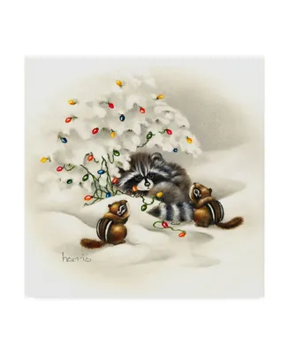 Peggy Harris 'Raccoon Christmas Lights' Canvas Art - 35" x 35"