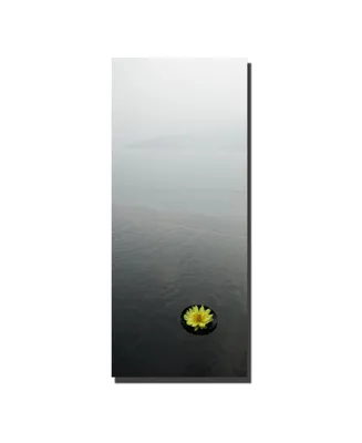 Kurt Shaffer 'Zen' Canvas Art - 20" x 30"