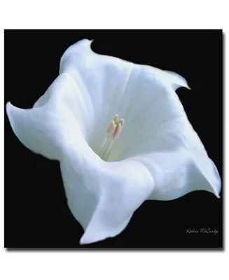 Kathie McCurdy 'Moonflower Black and White' Canvas Art - 35" x 35"