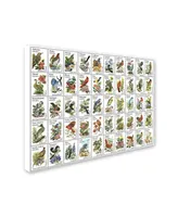 Vintage Apple Collection '50 Birds' Canvas Art - 14" x 19"