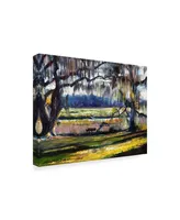 Lucy P. Mctier 'Lowcountry Spanish Moss Escape' Canvas Art - 19" x 14"