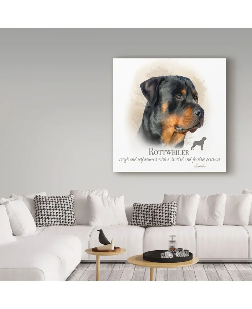 Howard Robinson 'Rottweiler' Canvas Art - 35" x 35"