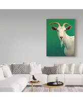 James W. Johnson 'Portrait Of A Goat' Canvas Art - 18" x 24"