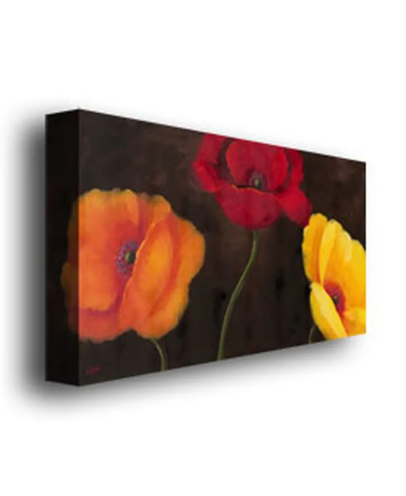 Rio 'Orange Red and Yellow' Canvas Art - 47" x 24"