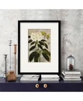 Courtside Market Treasures Of The Earth I Framed Matted Art Collection