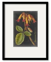 Courtside Market Dramatic Tropicals Iii Framed Matted Art Collection