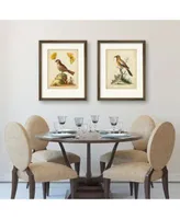 Courtside Market Natural Habitat Iv Framed Matted Art Collection