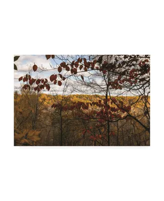 Kurt Shaffer Photographs Autumn in the Cuyahoga Valley Canvas Art