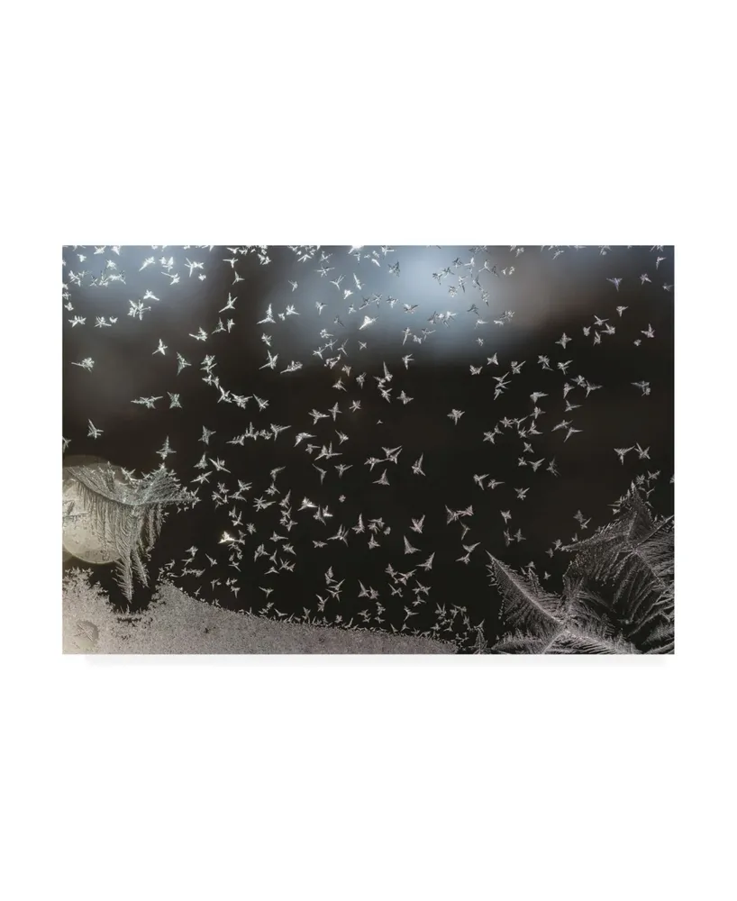 Kurt Shaffer Photographs Like a flock of birds ice crystals on my window Canvas Art