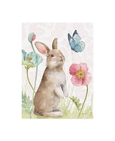 Lisa Audit Spring Softies Bunnies Ii Pink Canvas Art - 19.5" x 26"