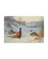 Archibald Thorburn Pheasant in the snow Canvas Art - 15.5" x 21"