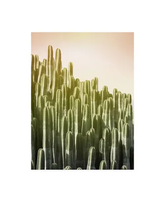 Lexie Gree Pink Sky Cactus Canvas Art