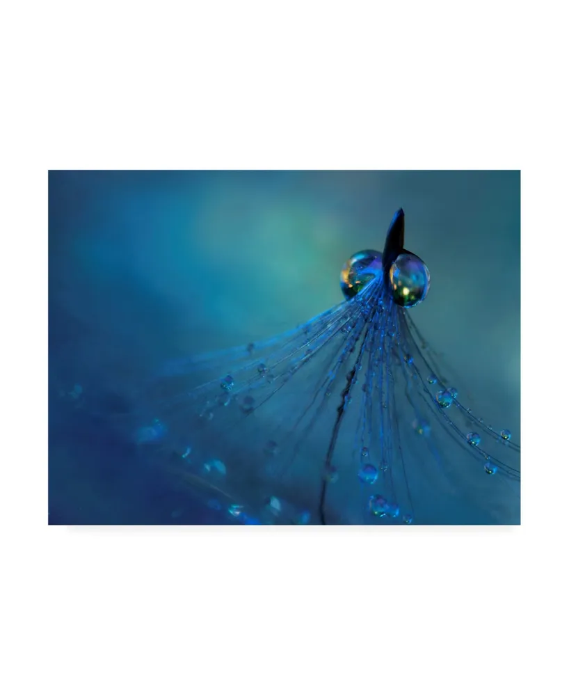 Heidi Westum Dancing Into the Blue Night Canvas Art - 20" x 25"