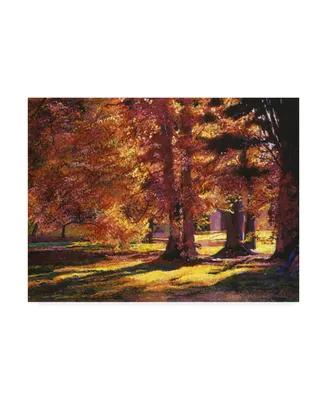 David Lloyd Glover Golden Autumn Light Canvas Art