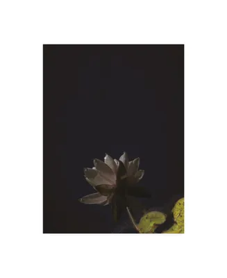 Kurt Shaffer White Lotus Reflected Canvas Art
