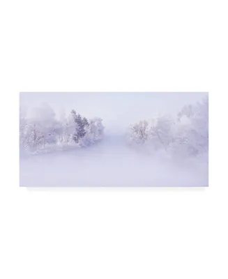 Norbert Maier Deep Winter Canvas Art - 37" x 49"