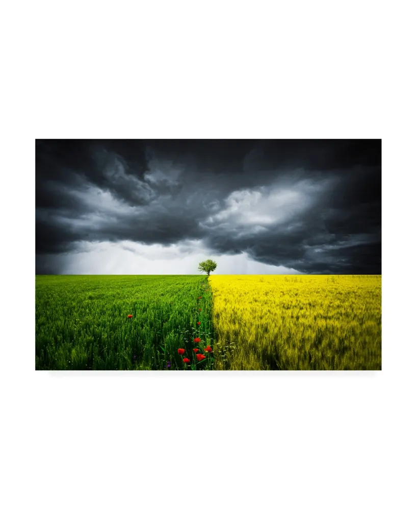 Bess Hamiti Canola Field Trees Canvas Art