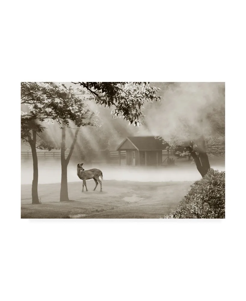 Monte Nagler Deer in Morning Mist Canvas Art