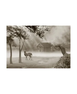 Monte Nagler Deer in Morning Mist Canvas Art - 15" x 20"
