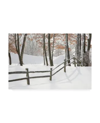 Monte Nagler Winter Fence and Shadow Farmington Hills Michigan Canvas Art