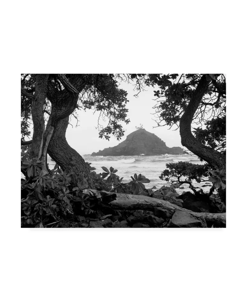 Monte Nagler Long Hanna Drive Maui Hawaii Canvas Art - 20" x 25"