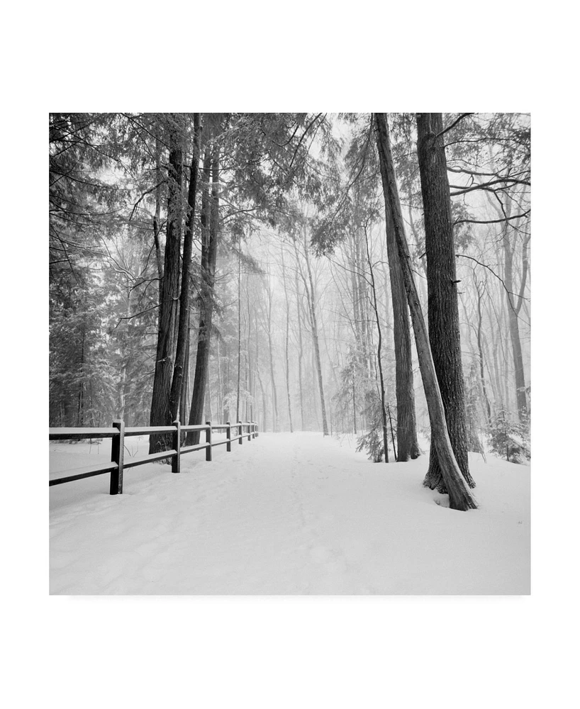 Monte Nagler Winters Path Canvas Art