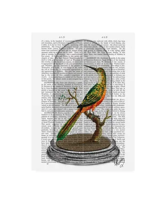 Fab Funky Bird in Bell Jar Canvas Art