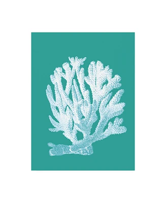 Fab Funky Coral 1 White on Turquoise Canvas Art - 27" x 33.5"