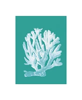 Fab Funky Coral 1 White on Turquoise Canvas Art - 27" x 33.5"