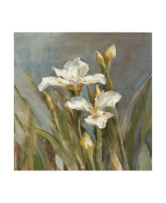 Danhui Nai Spring Iris Ii Canvas Art