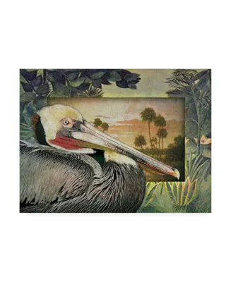 Steve Hunziker Pelican Paradise I Canvas Art