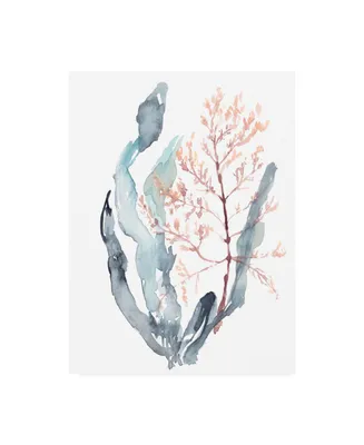 Jennifer Goldberger Sweet Seaweed Ii Canvas Art