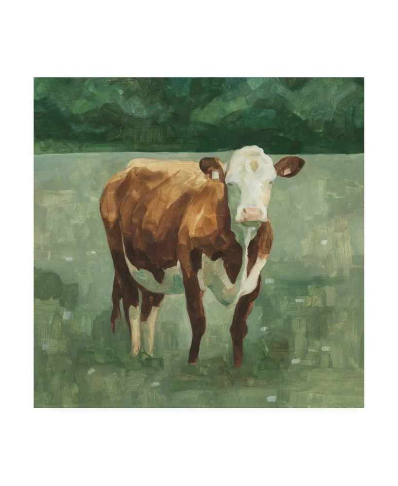 Emma Scarvey Hereford Cattle I Canvas Art