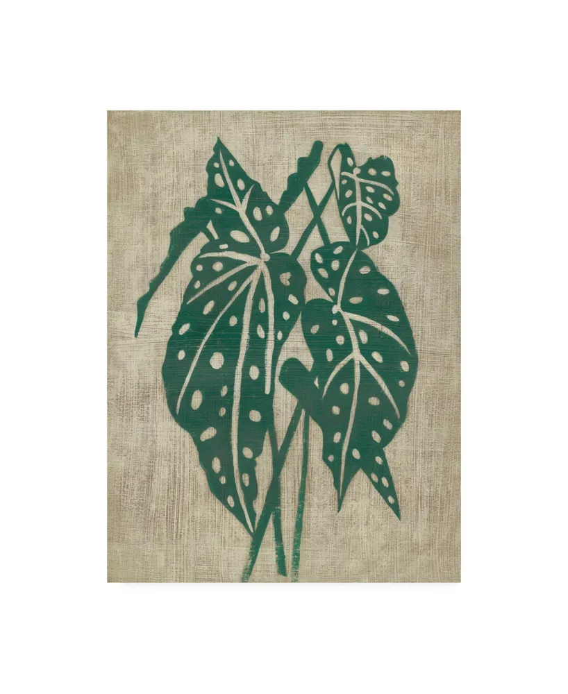 Chariklia Zarris Vintage Greenery Ii Canvas Art