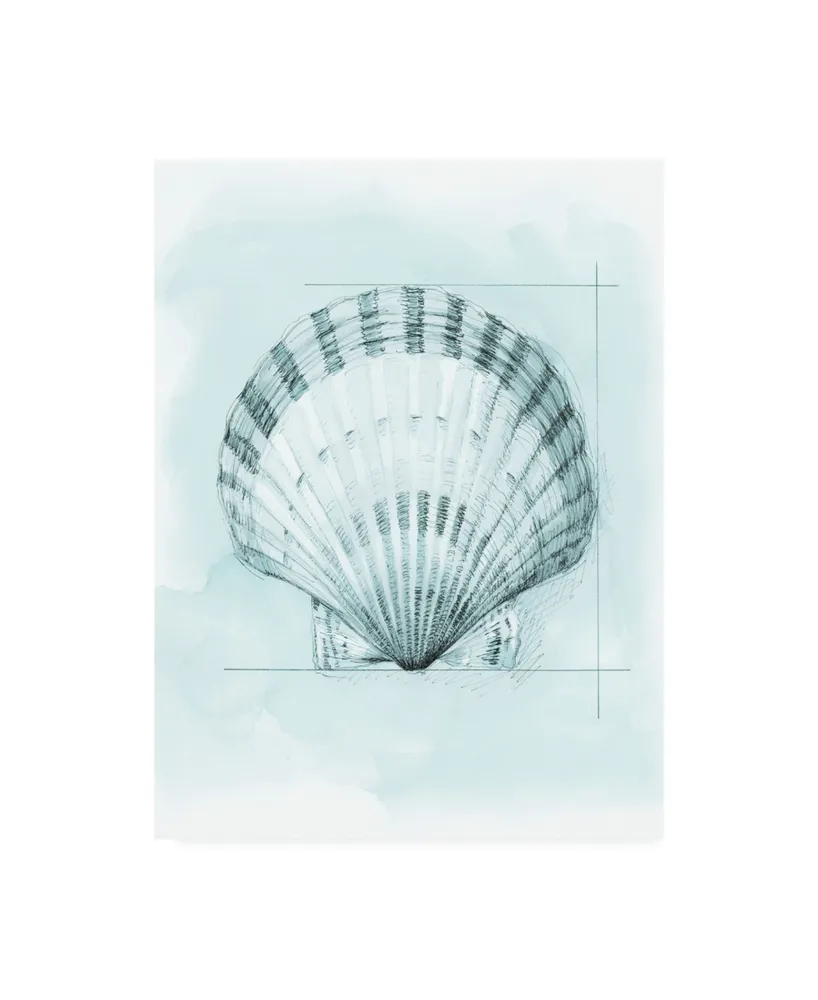 Megan Meagher Coastal Shell Schematic Iii Canvas Art