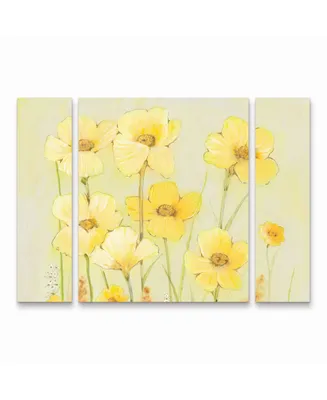 Tim OToole Soft Spring Floral Ii Multi Panel Art Set Large 3 Piece - 36.5" x 48"