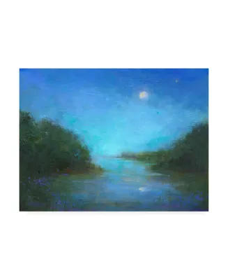 Sheila Finch Twilight River Canvas Art