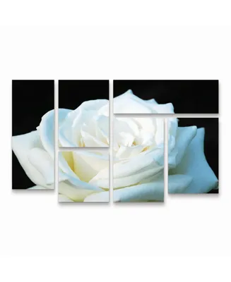 Kurt Shaffer White Rose Ii Multi Panel Art Set 6 Piece - 49" x 19"