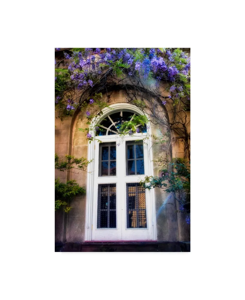 Danny Head White Wisteria Canvas Art