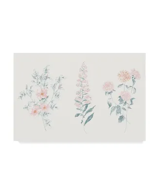Wild Apple Portfolio Flowers on White Ix Contemporary Canvas Art - 20" x 25"